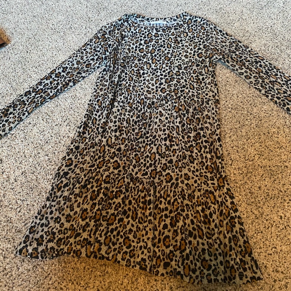 Zara Leopard Shift Dress
